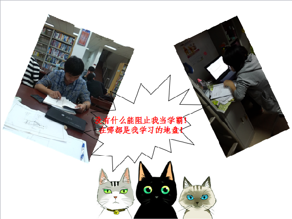 威廉希尔williamhill官网