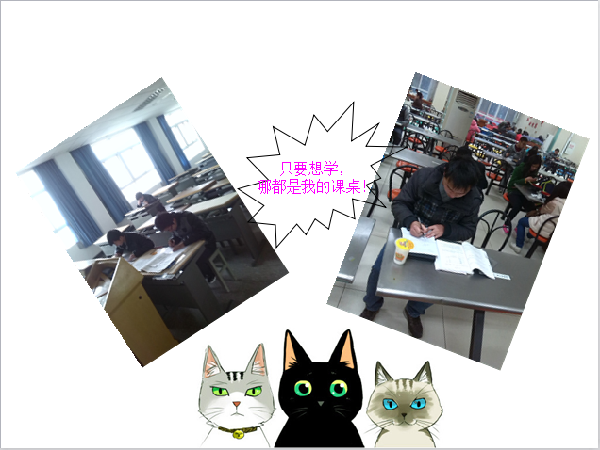 威廉希尔williamhill官网