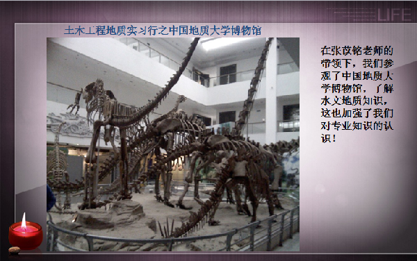 威廉希尔williamhill官网