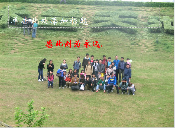 威廉希尔williamhill官网