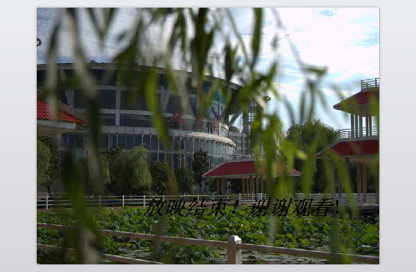 威廉希尔williamhill官网