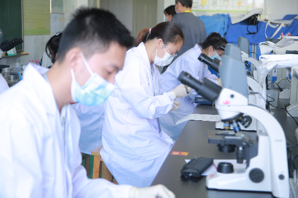 威廉希尔williamhill官网