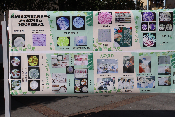 威廉希尔williamhill官网