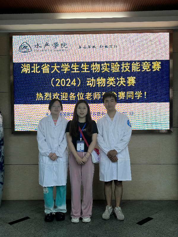 威廉希尔williamhill官网