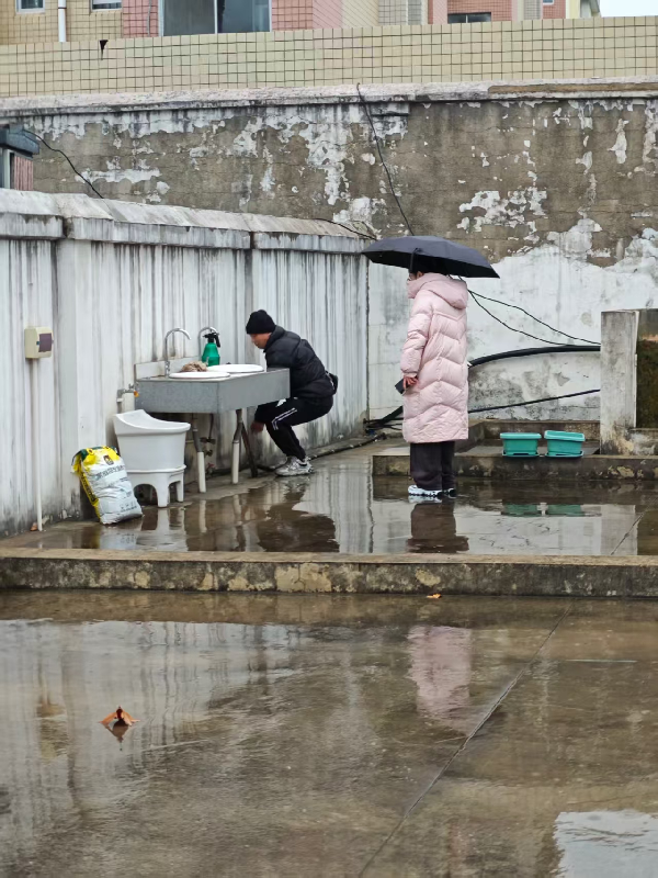 威廉希尔williamhill官网